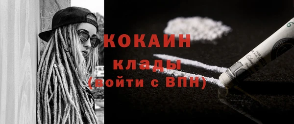 шишки Покачи
