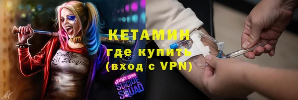 шишки Покачи