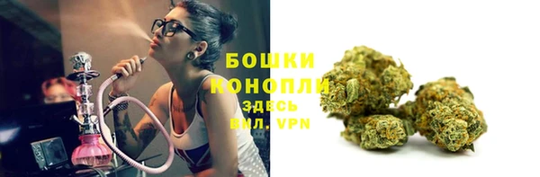 шишки Покачи