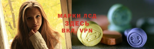 шишки Покачи