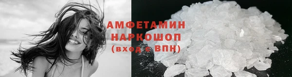 шишки Покачи
