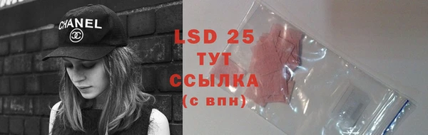 шишки Покачи