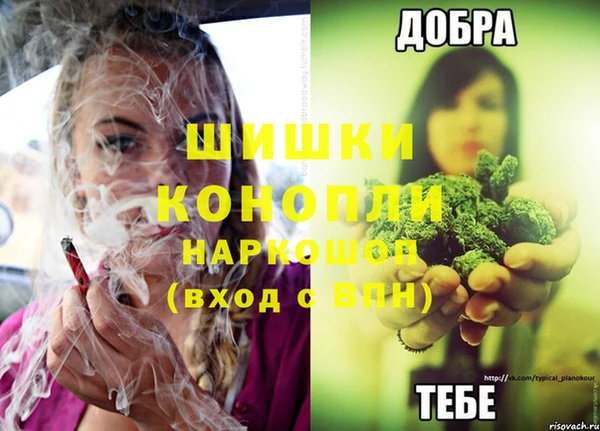 шишки Покачи
