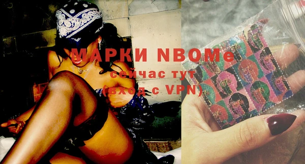 шишки Покачи