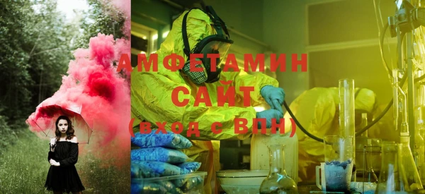 шишки Покачи