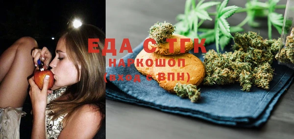 шишки Покачи
