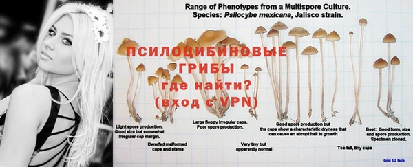 MDMA Premium VHQ Волоколамск