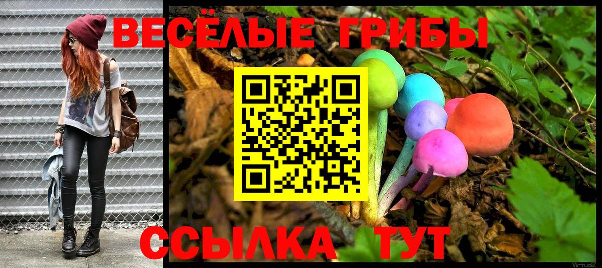 Псилоцибиновые грибы Великие Луки