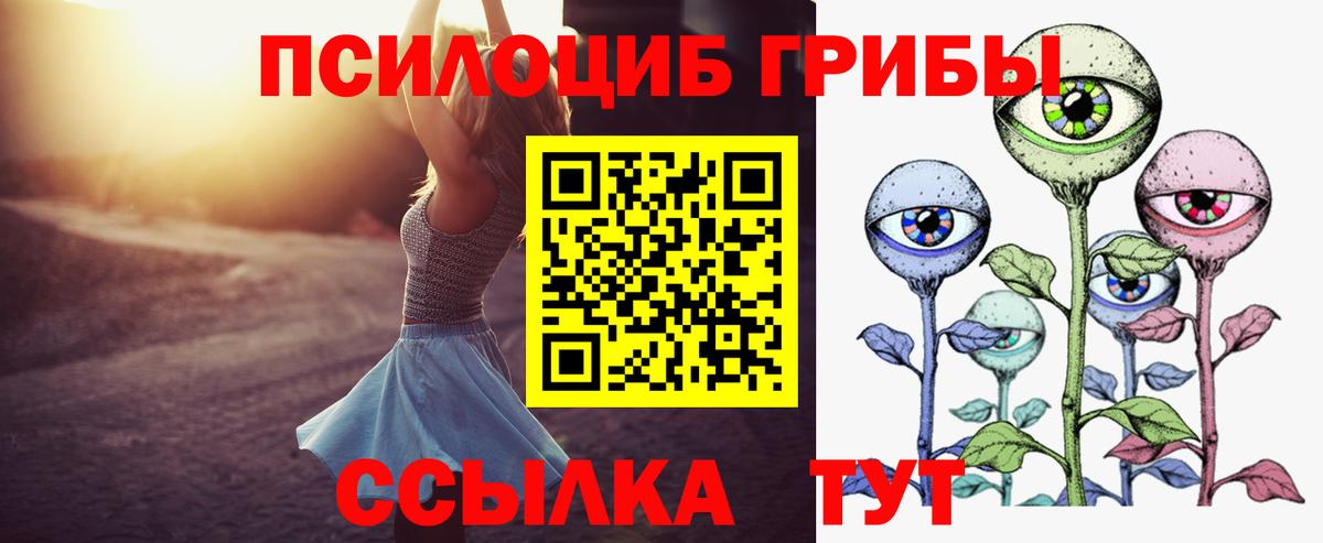 Псилоцибиновые грибы Psilocybe Великие Луки