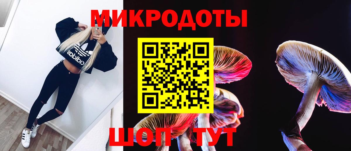 Псилоцибиновые грибы Cubensis  Великие Луки 