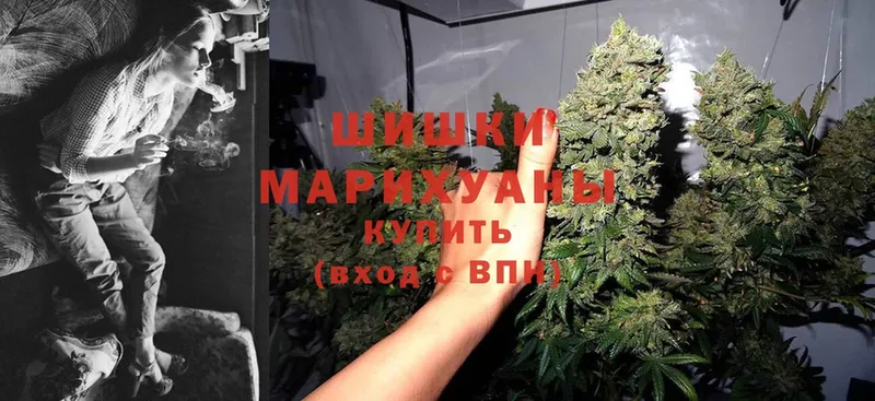 закладки  Великие Луки  кракен ONION  мориарти наркотические препараты  Конопля SATIVA & INDICA 