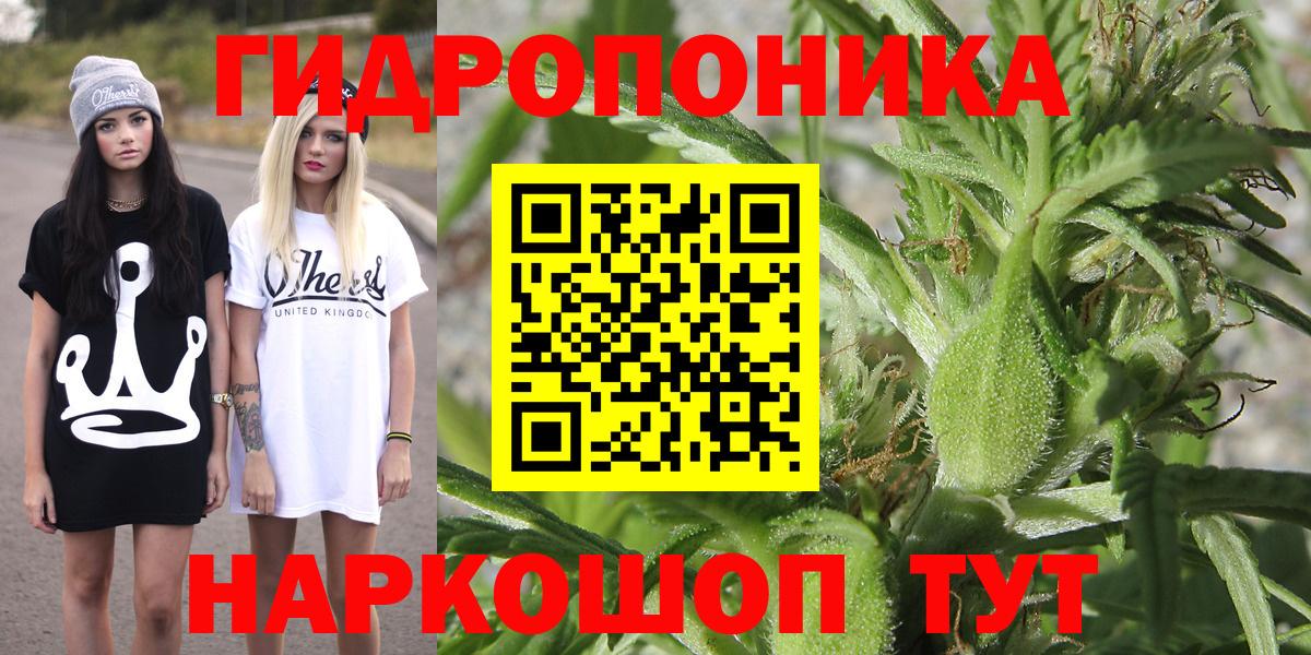 Канабис OG Kush Великие Луки